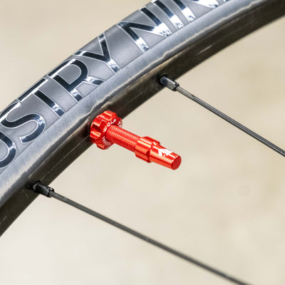 Tubeless Valve Stem Kit