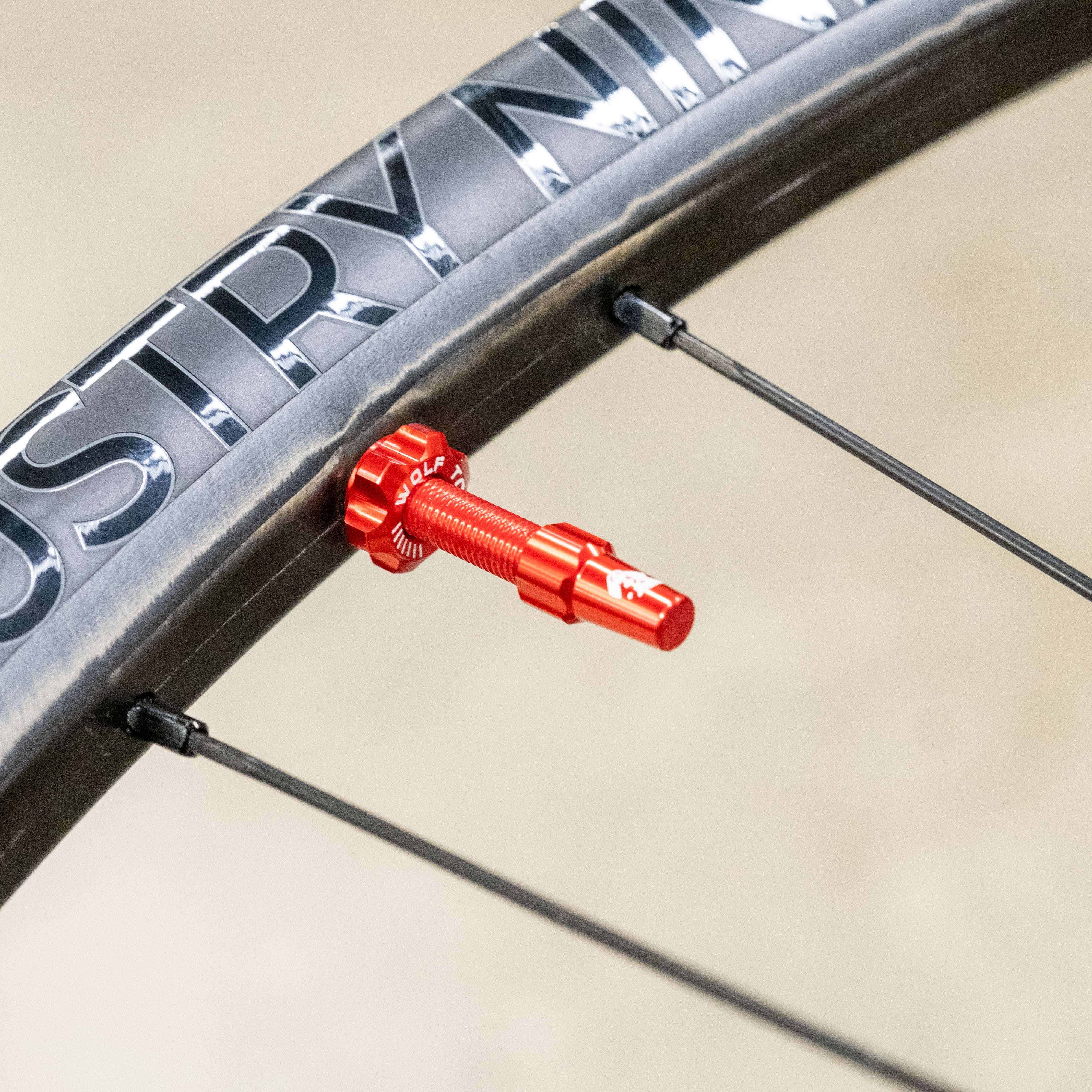 Tubeless Valve Stem Kit