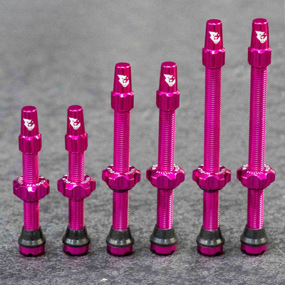 Tubeless Presta Valve Stem Kit