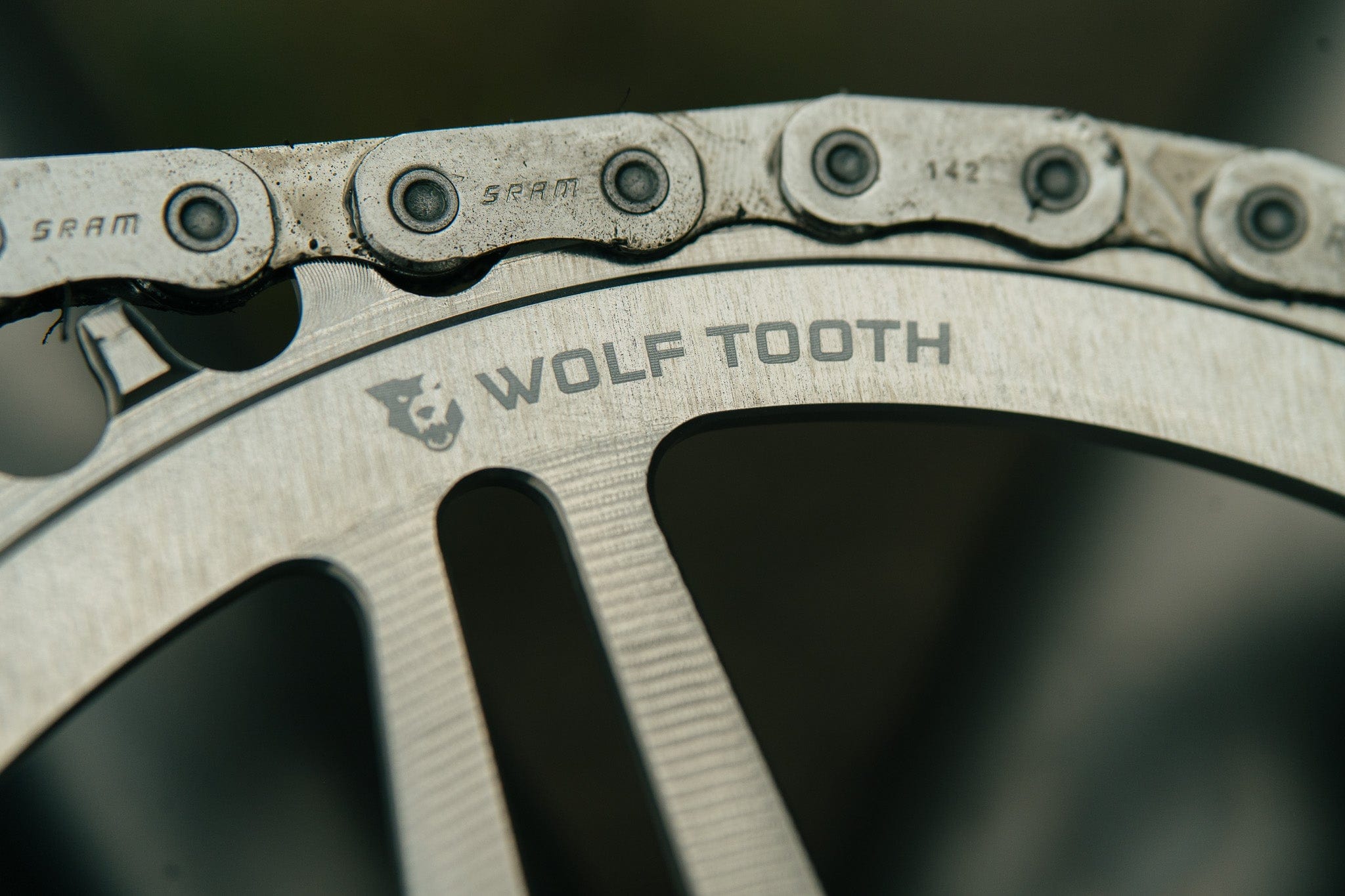 Direct Mount Chainrings for SRAM 8-Bolt Mountain Cranks - Raw Silver