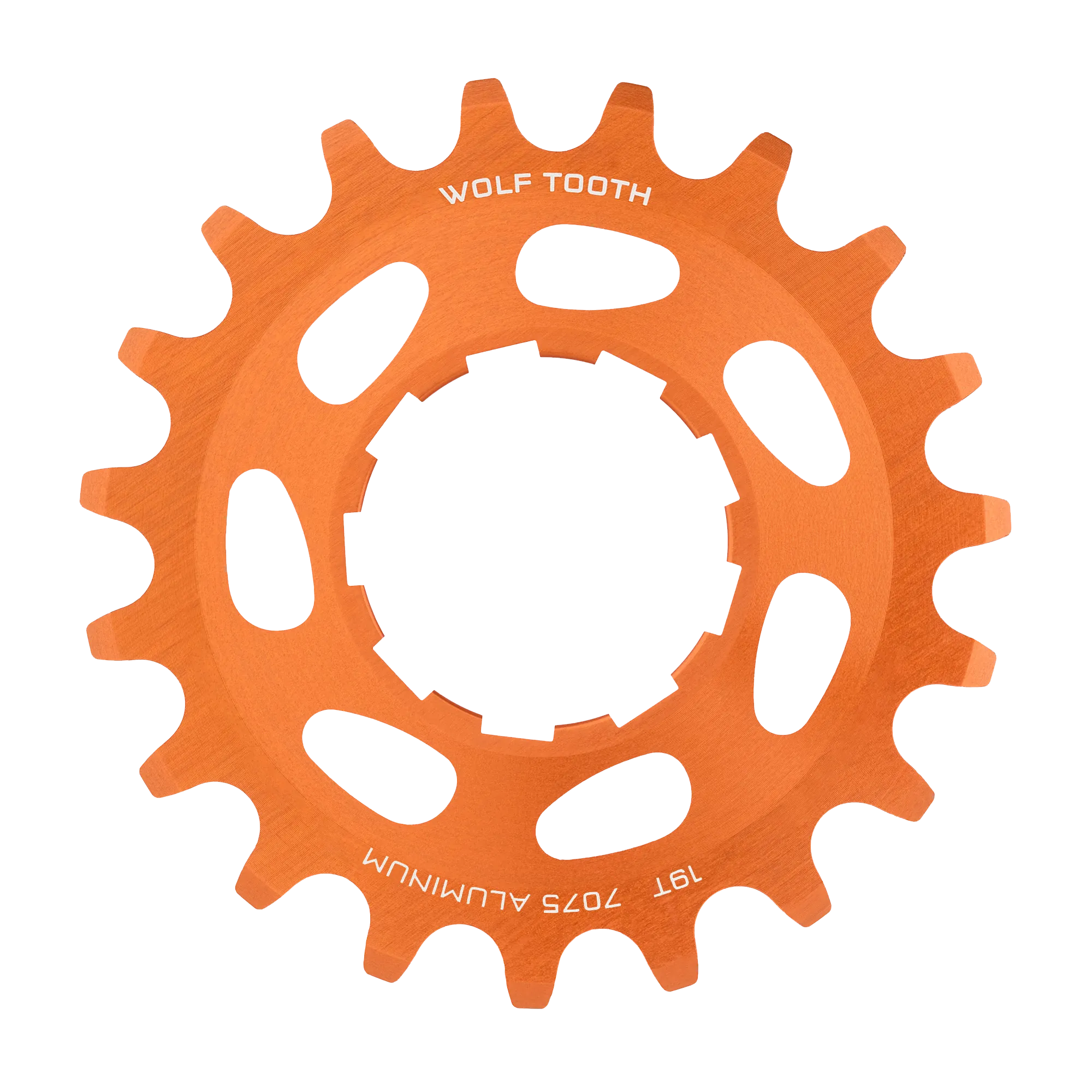 Aluminum Single Speed Cog